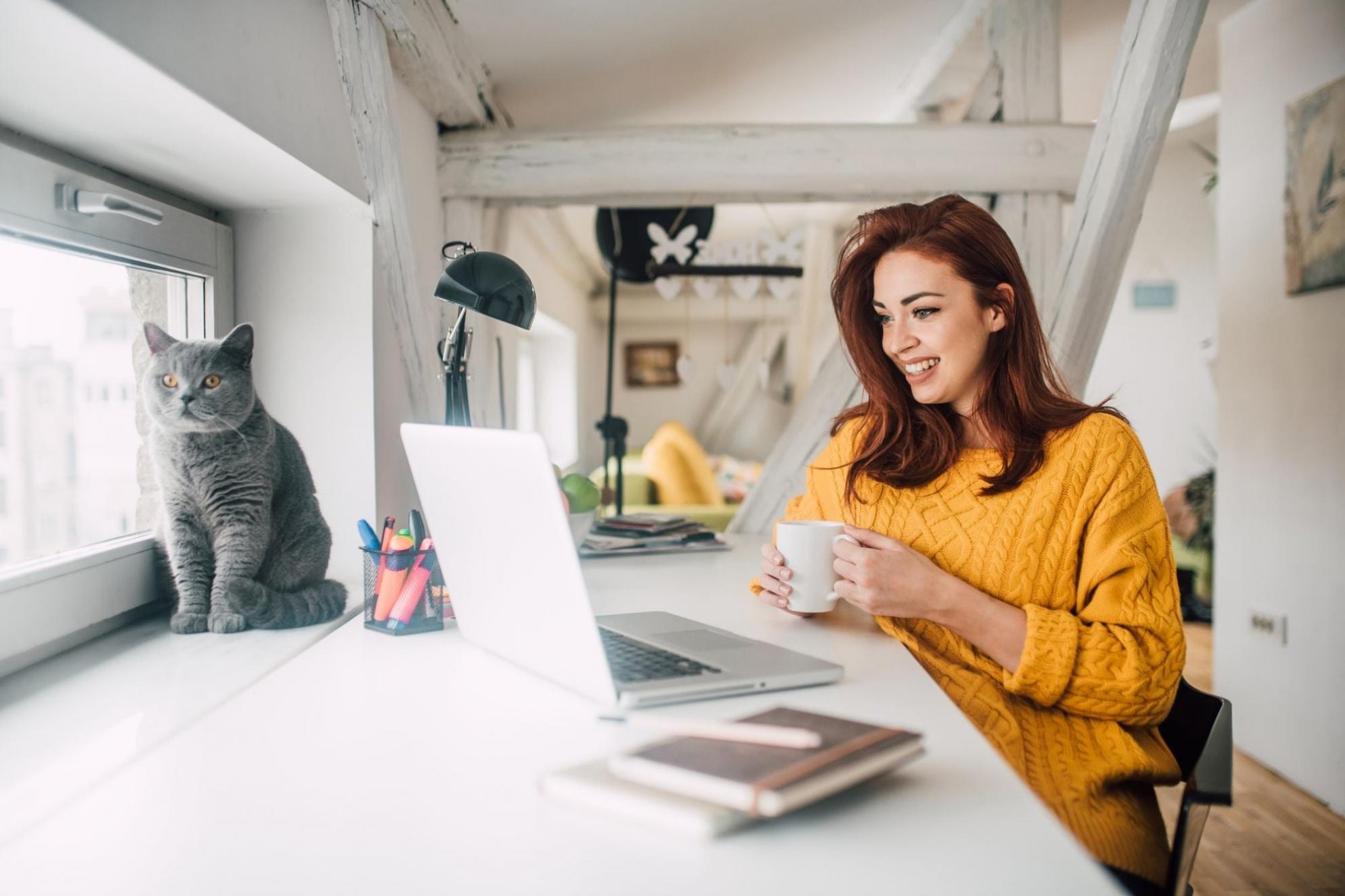 Investment analysis workspace with financial charts and market data showing portfolio allocation strategies